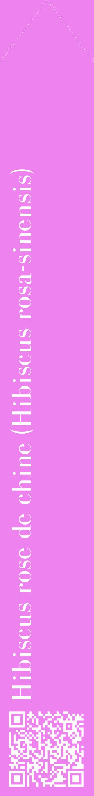 Étiquette de : Hibiscus rosa-sinensis - format c - style blanche53_simplebod avec qrcode et comestibilité