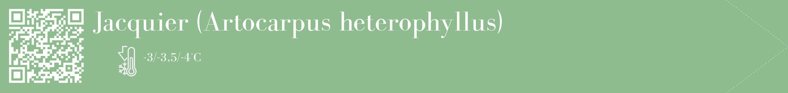 Étiquette de : Artocarpus heterophyllus - format c - style blanche13_simple_simplebod avec qrcode et comestibilité