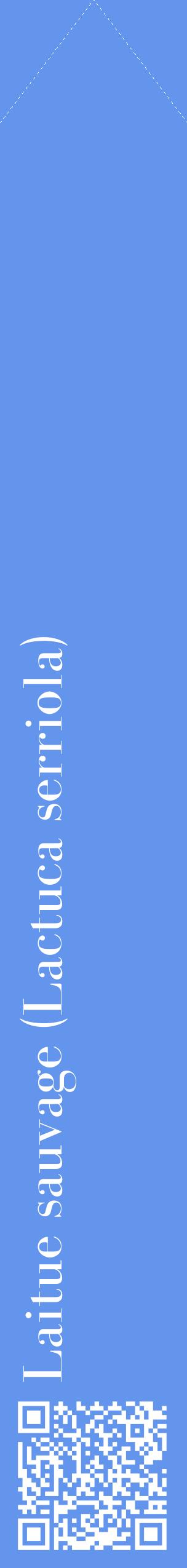 Étiquette de : Lactuca serriola - format c - style blanche4_simplebod avec qrcode et comestibilité
