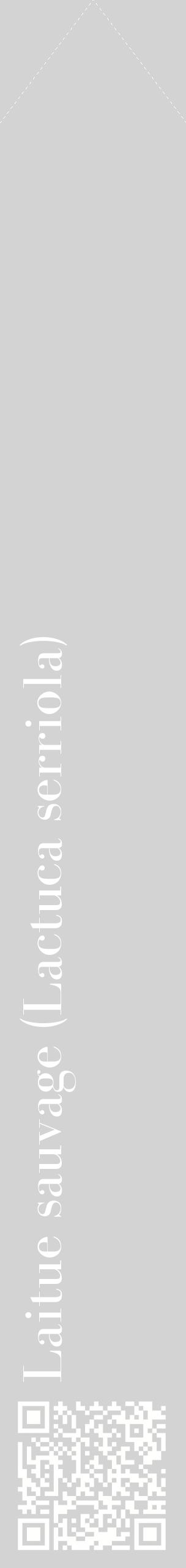 Étiquette de : Lactuca serriola - format c - style blanche56_simplebod avec qrcode et comestibilité