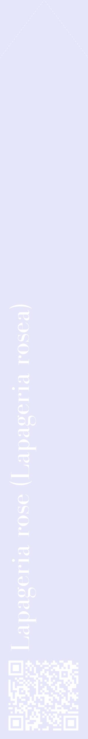 Étiquette de : Lapageria rosea - format c - style blanche55_simplebod avec qrcode et comestibilité