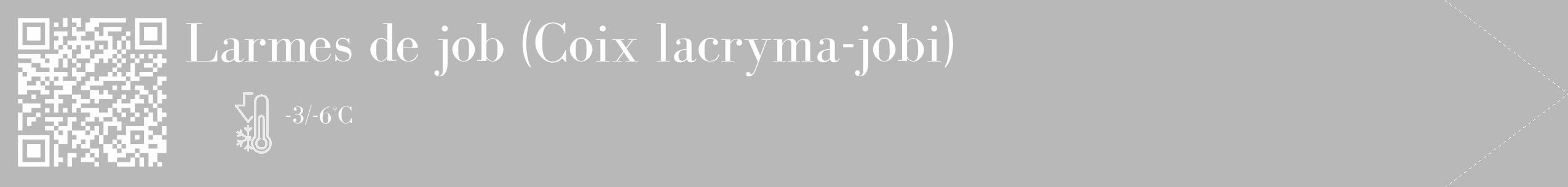 Étiquette de : Coix lacryma-jobi - format c - style blanche39_simple_simplebod avec qrcode et comestibilité