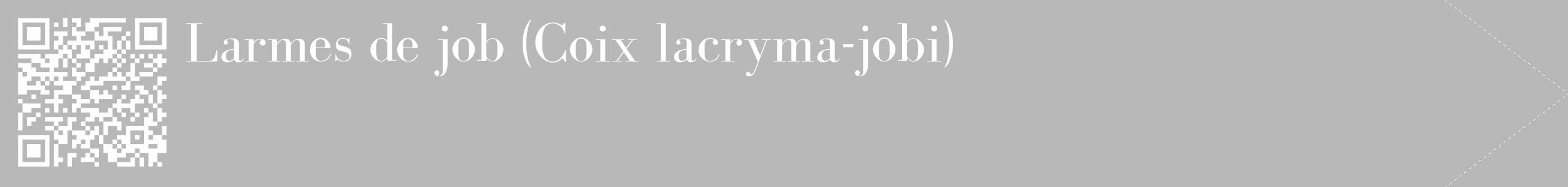 Étiquette de : Coix lacryma-jobi - format c - style blanche39_simple_simplebod avec qrcode et comestibilité