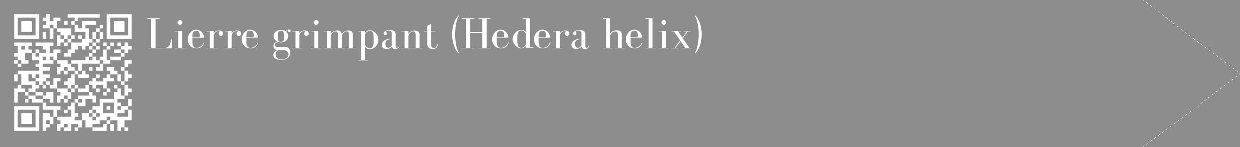 Étiquette de : Hedera helix - format c - style blanche2_simple_simplebod avec qrcode et comestibilité