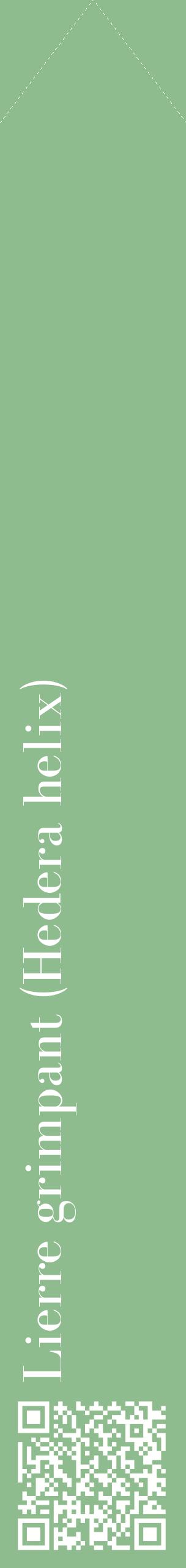Étiquette de : Hedera helix - format c - style blanche13_simplebod avec qrcode et comestibilité