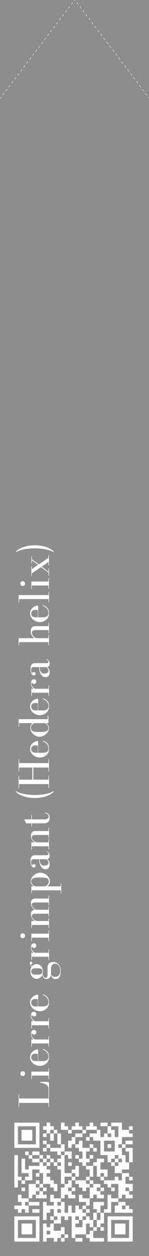 Étiquette de : Hedera helix - format c - style blanche2_simple_simplebod avec qrcode et comestibilité - position verticale