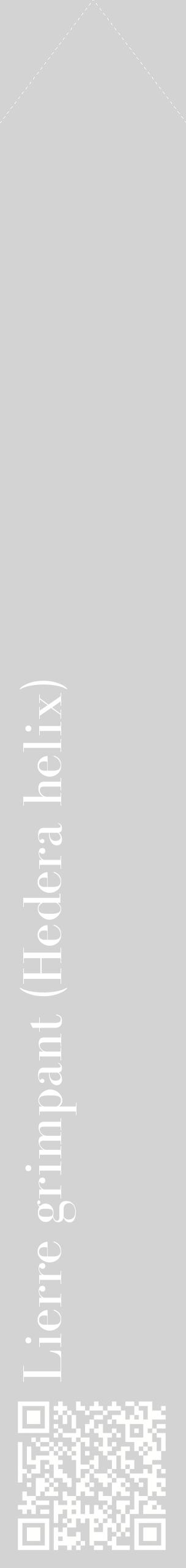 Étiquette de : Hedera helix - format c - style blanche56_simplebod avec qrcode et comestibilité