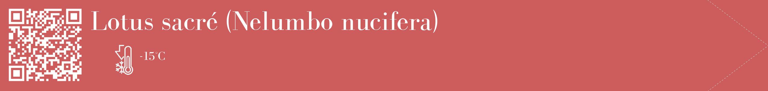 Étiquette de : Nelumbo nucifera - format c - style blanche35_simple_simplebod avec qrcode et comestibilité