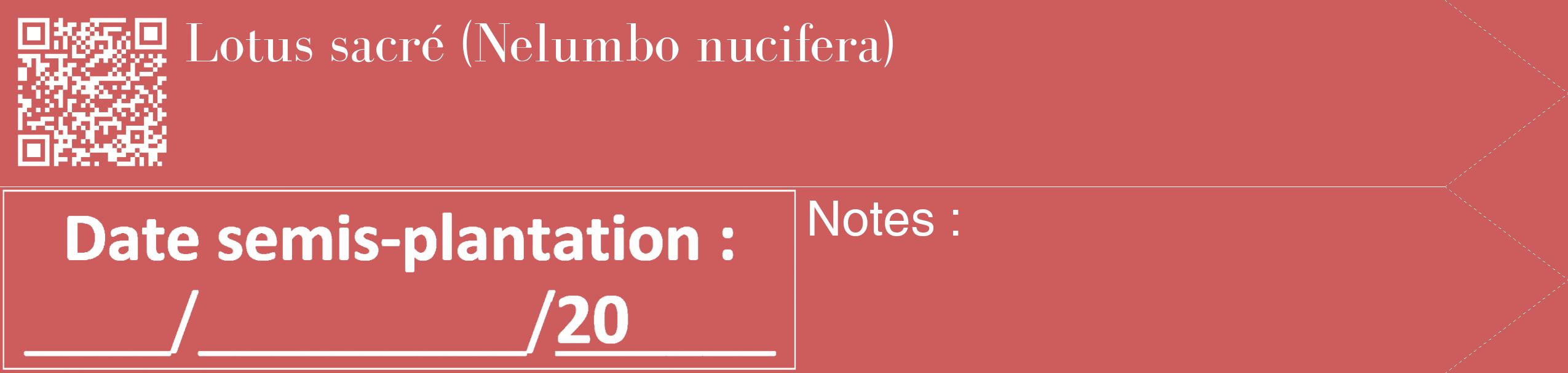 Étiquette de : Nelumbo nucifera - format c - style blanche35_simple_simplebod avec qrcode et comestibilité