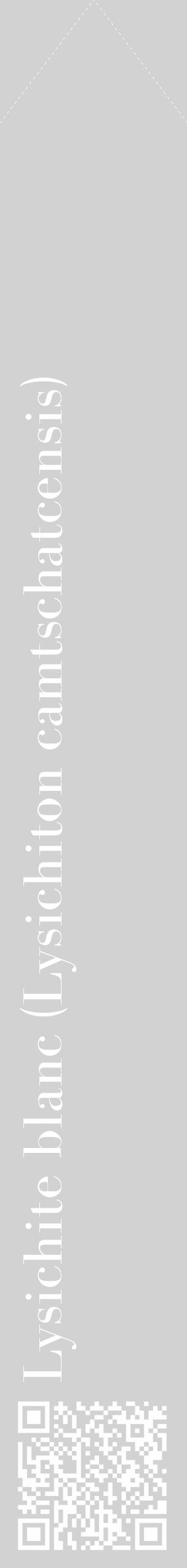 Étiquette de : Lysichiton camtschatcensis - format c - style blanche14_simple_simplebod avec qrcode et comestibilité - position verticale