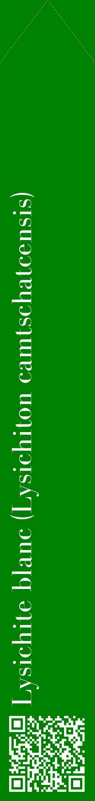 Étiquette de : Lysichiton camtschatcensis - format c - style blanche9_simplebod avec qrcode et comestibilité