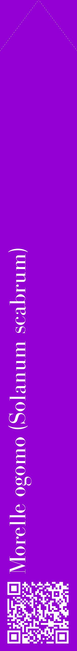 Étiquette de : Solanum scabrum - format c - style blanche48_simplebod avec qrcode et comestibilité