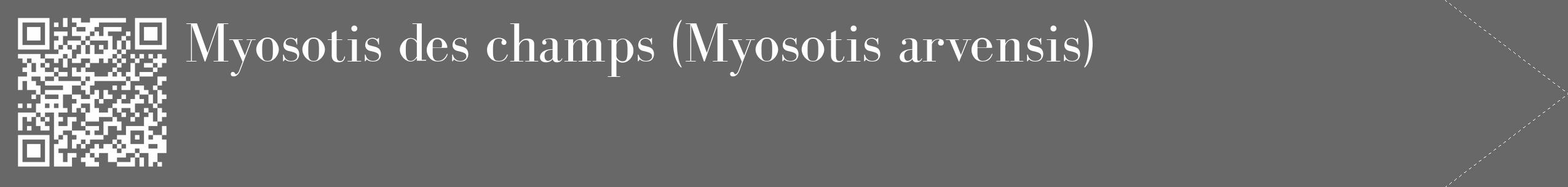 Étiquette de : Myosotis arvensis - format c - style blanche6_simple_simplebod avec qrcode et comestibilité