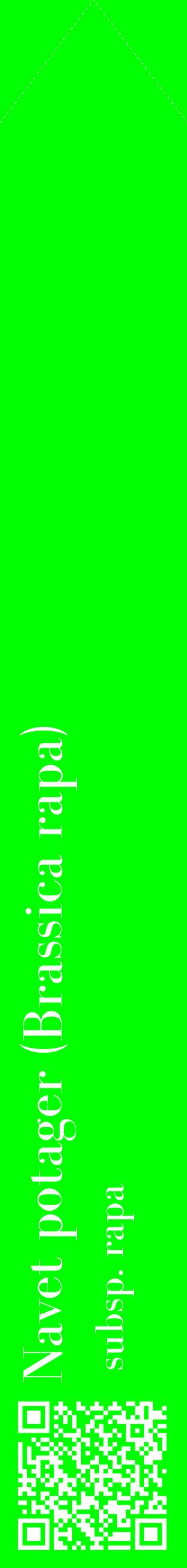 Étiquette de : Brassica rapa subsp. rapa - format c - style blanche16_simplebod avec qrcode et comestibilité