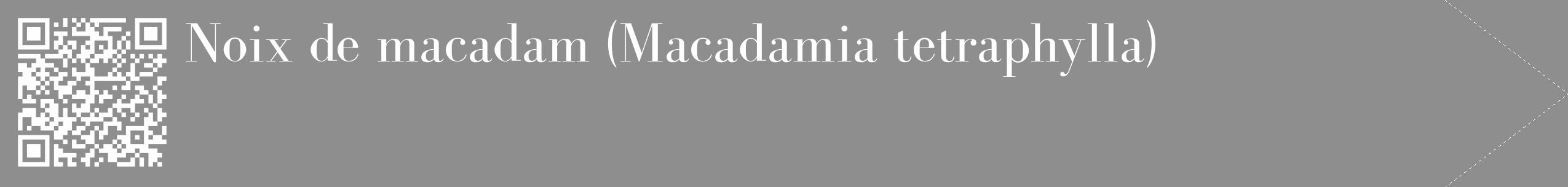 Étiquette de : Macadamia tetraphylla - format c - style blanche25_simple_simplebod avec qrcode et comestibilité