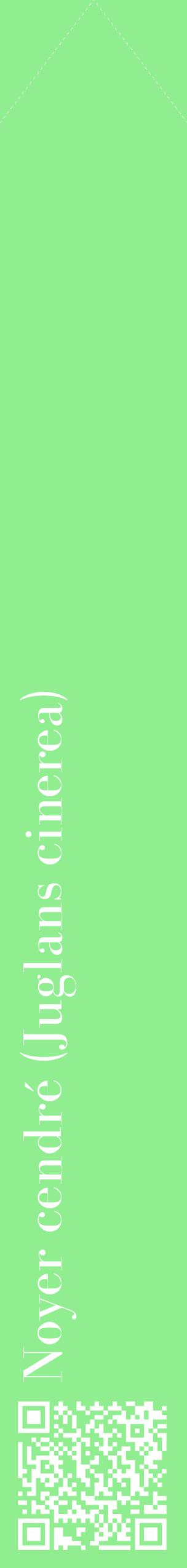 Étiquette de : Juglans cinerea - format c - style blanche15_simplebod avec qrcode et comestibilité