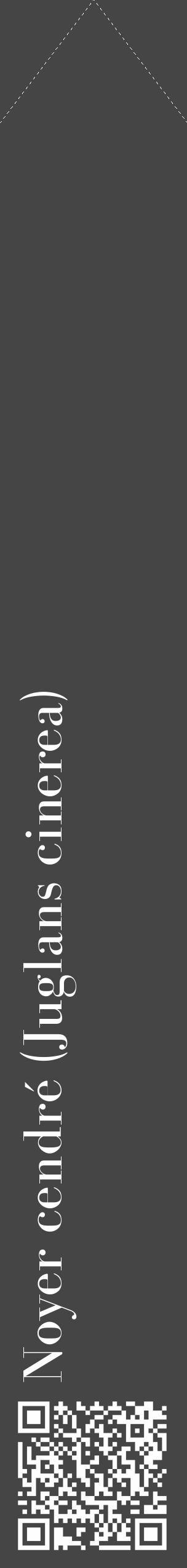 Étiquette de : Juglans cinerea - format c - style blanche58_simple_simplebod avec qrcode et comestibilité - position verticale