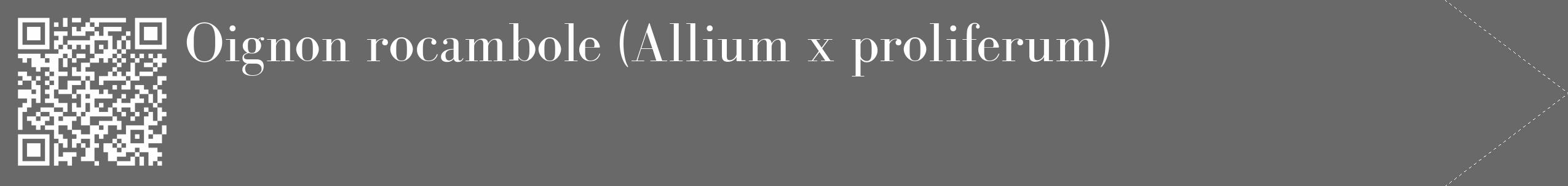 Étiquette de : Allium x proliferum - format c - style blanche51_simple_simplebod avec qrcode et comestibilité
