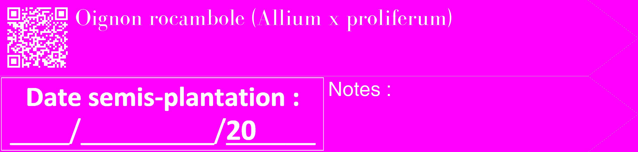Étiquette de : Allium x proliferum - format c - style blanche51_simple_simplebod avec qrcode et comestibilité