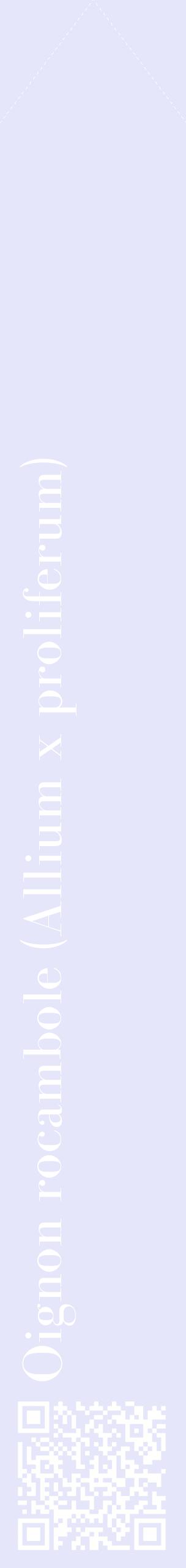 Étiquette de : Allium x proliferum - format c - style blanche55_simplebod avec qrcode et comestibilité