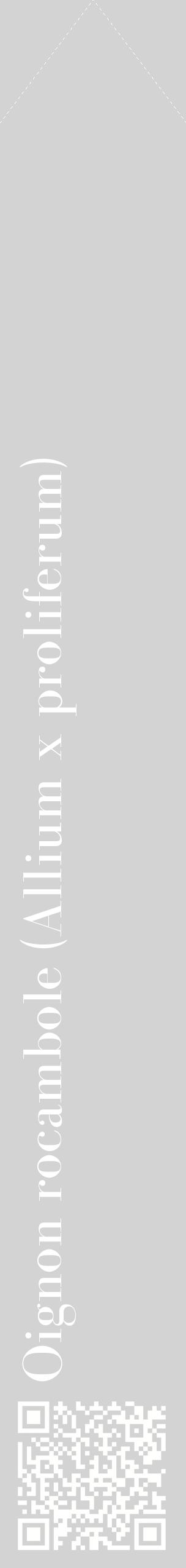 Étiquette de : Allium x proliferum - format c - style blanche56_simplebod avec qrcode et comestibilité
