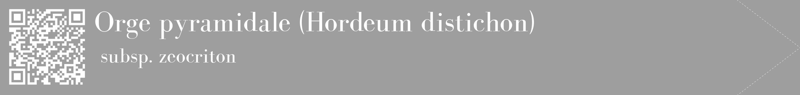 Étiquette de : Hordeum distichon subsp. zeocriton - format c - style blanche42_simple_simplebod avec qrcode et comestibilité