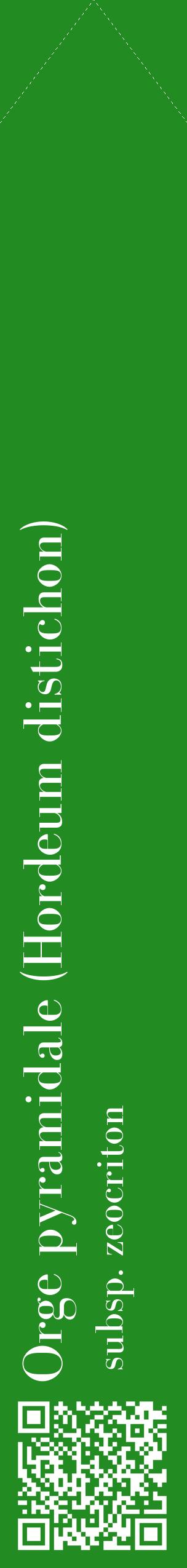Étiquette de : Hordeum distichon subsp. zeocriton - format c - style blanche10_simplebod avec qrcode et comestibilité