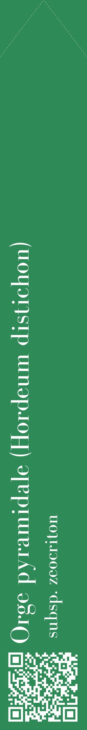 Étiquette de : Hordeum distichon subsp. zeocriton - format c - style blanche11_simplebod avec qrcode et comestibilité