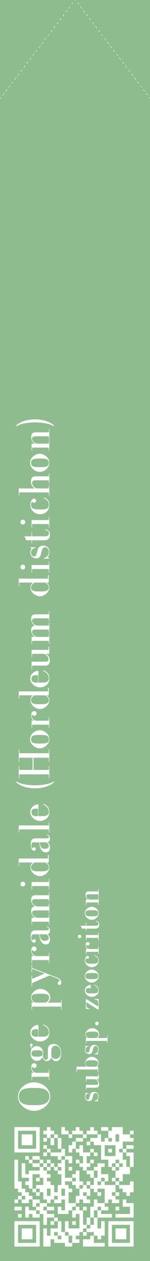 Étiquette de : Hordeum distichon subsp. zeocriton - format c - style blanche13_simplebod avec qrcode et comestibilité