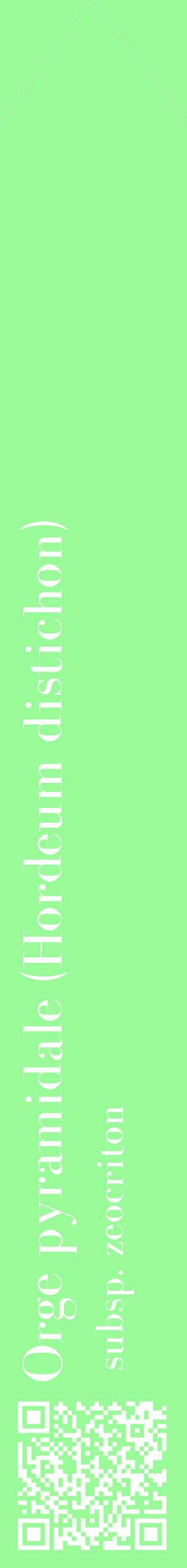 Étiquette de : Hordeum distichon subsp. zeocriton - format c - style blanche14_simplebod avec qrcode et comestibilité