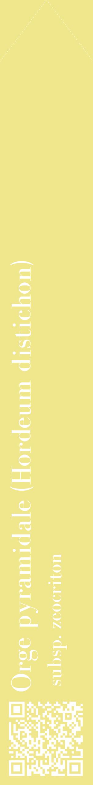Étiquette de : Hordeum distichon subsp. zeocriton - format c - style blanche20_simplebod avec qrcode et comestibilité