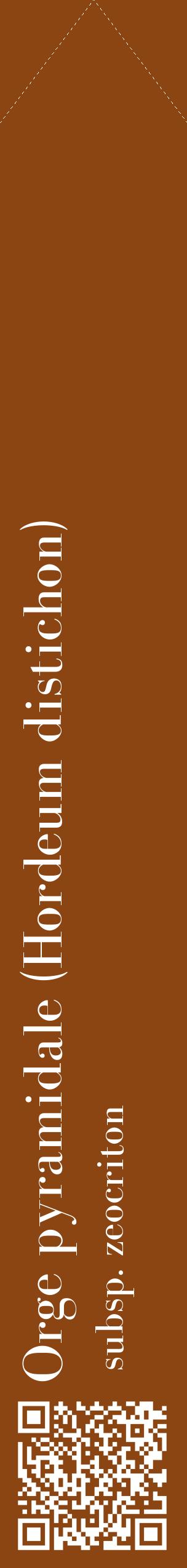 Étiquette de : Hordeum distichon subsp. zeocriton - format c - style blanche30_simplebod avec qrcode et comestibilité