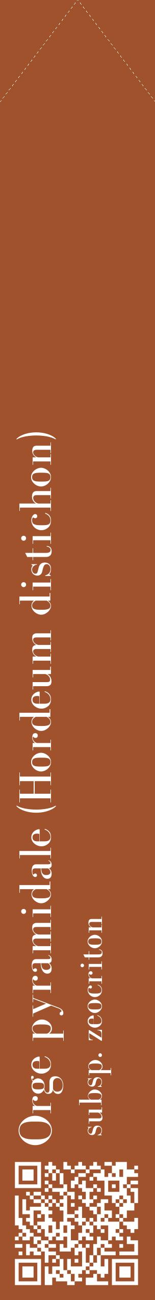 Étiquette de : Hordeum distichon subsp. zeocriton - format c - style blanche32_simplebod avec qrcode et comestibilité