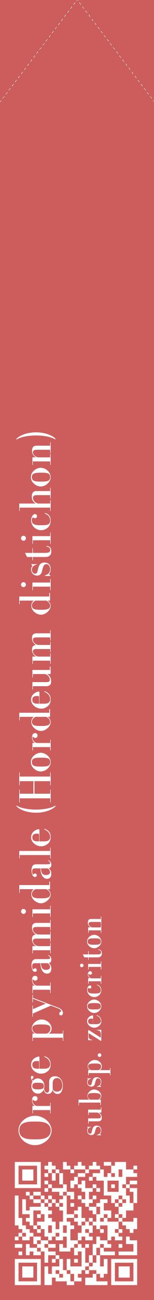 Étiquette de : Hordeum distichon subsp. zeocriton - format c - style blanche35_simplebod avec qrcode et comestibilité