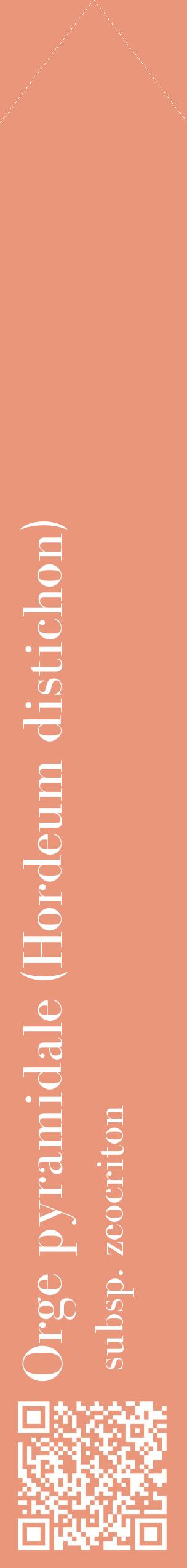 Étiquette de : Hordeum distichon subsp. zeocriton - format c - style blanche37_simplebod avec qrcode et comestibilité