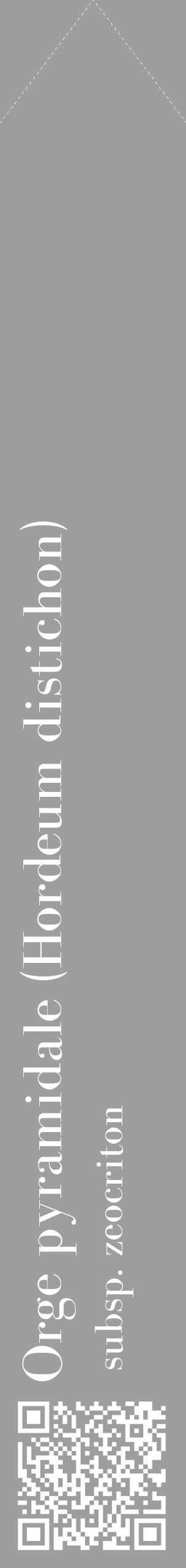 Étiquette de : Hordeum distichon subsp. zeocriton - format c - style blanche42_simple_simplebod avec qrcode et comestibilité - position verticale