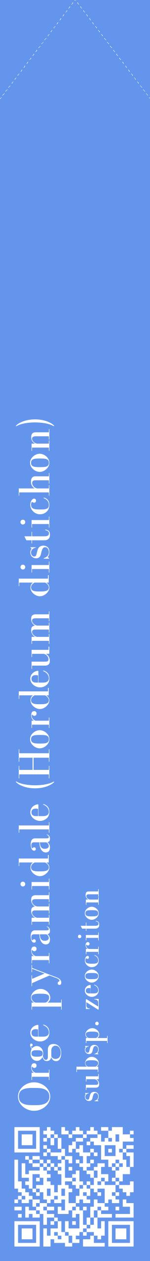 Étiquette de : Hordeum distichon subsp. zeocriton - format c - style blanche4_simplebod avec qrcode et comestibilité