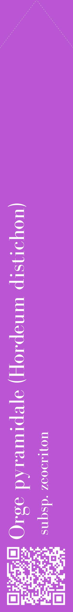 Étiquette de : Hordeum distichon subsp. zeocriton - format c - style blanche50_simplebod avec qrcode et comestibilité