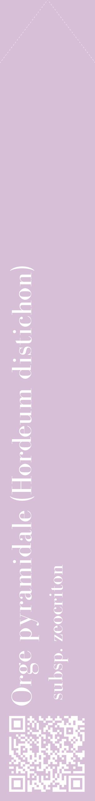Étiquette de : Hordeum distichon subsp. zeocriton - format c - style blanche54_simplebod avec qrcode et comestibilité