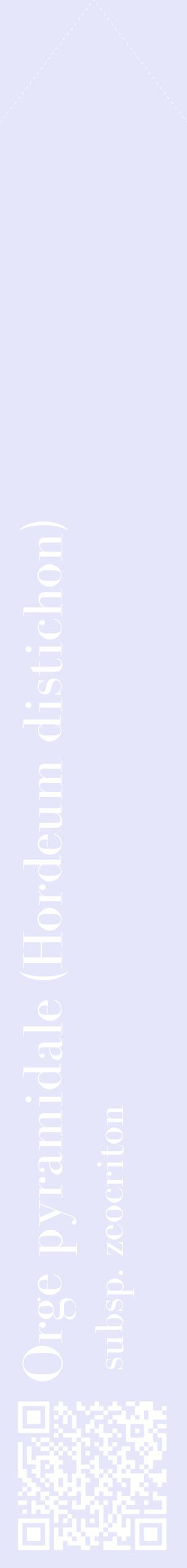 Étiquette de : Hordeum distichon subsp. zeocriton - format c - style blanche55_simplebod avec qrcode et comestibilité