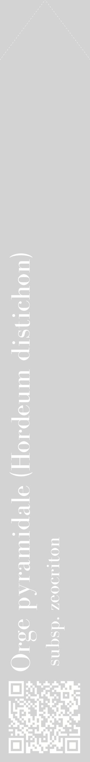 Étiquette de : Hordeum distichon subsp. zeocriton - format c - style blanche56_simplebod avec qrcode et comestibilité