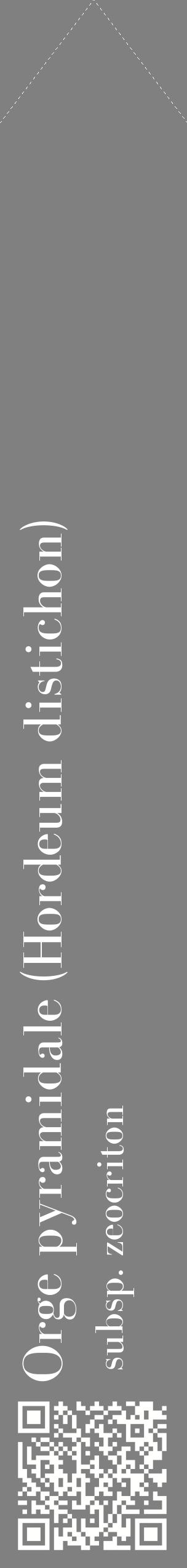 Étiquette de : Hordeum distichon subsp. zeocriton - format c - style blanche57_simplebod avec qrcode et comestibilité
