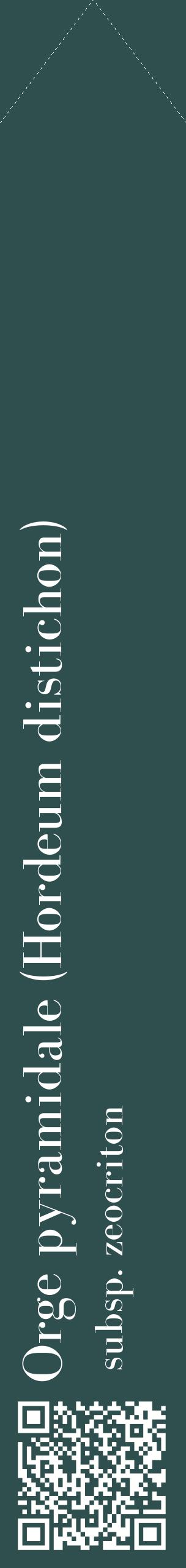 Étiquette de : Hordeum distichon subsp. zeocriton - format c - style blanche58_simplebod avec qrcode et comestibilité