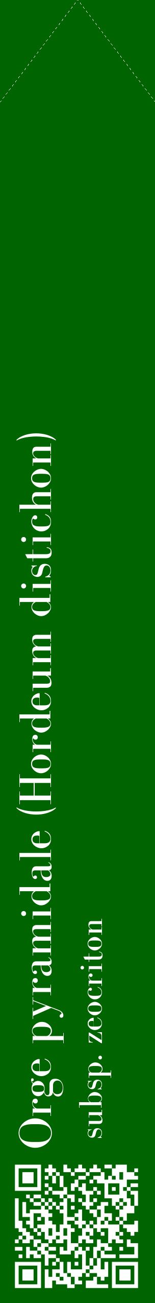 Étiquette de : Hordeum distichon subsp. zeocriton - format c - style blanche8_simplebod avec qrcode et comestibilité