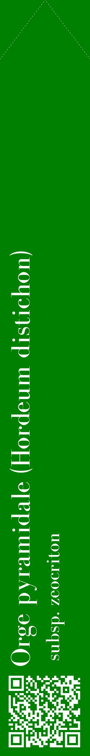 Étiquette de : Hordeum distichon subsp. zeocriton - format c - style blanche9_simplebod avec qrcode et comestibilité