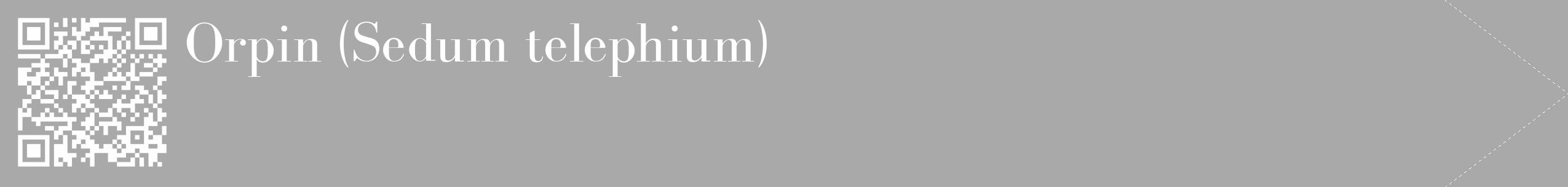 Étiquette de : Sedum telephium - format c - style blanche13_simple_simplebod avec qrcode et comestibilité