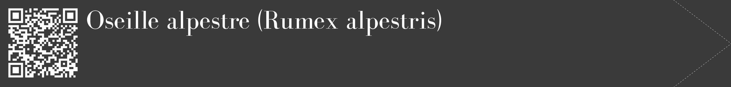 Étiquette de : Rumex alpestris - format c - style blanche8_simple_simplebod avec qrcode et comestibilité