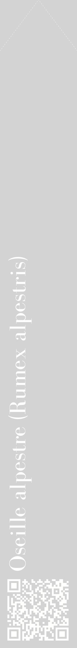 Étiquette de : Rumex alpestris - format c - style blanche56_simplebod avec qrcode et comestibilité