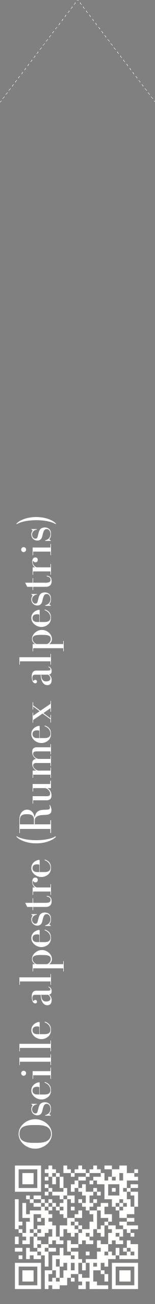Étiquette de : Rumex alpestris - format c - style blanche57_simplebod avec qrcode et comestibilité