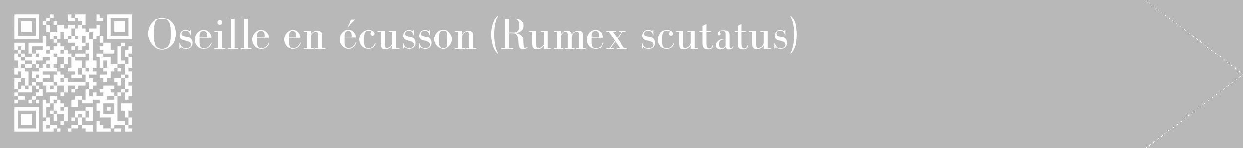 Étiquette de : Rumex scutatus - format c - style blanche39_simple_simplebod avec qrcode et comestibilité
